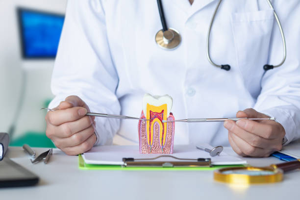 Best Emergency Root Canal Therapy in Wheeling, IL